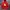 Pancoat Streetwear Sportswear Suit Pria Red
