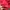 Pancoat Streetwear Sportswear Suit Pria red photo 4