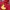 Pancoat Streetwear Sportswear Suit Pria Red
