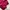 JAKET QUILTED SHERPA UNIQLO BASIC SOFT PINK photo 6