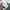 Dickies Streetwear Sportswear Suit Pria burgundy white photo 4