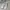 Adidas Streetwear Skater Sneakers Wanita green white photo 2