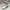 Charles and Keith Y2K Biker Ankle boots Wanita white cream photo 1