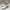 Charles And Keith Y2K Biker Ankle Boots Wanita White Cream