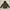 Berghaus Outerwear Kids brown photo 1