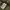 Berghaus Outerwear Kids brown photo 7