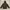 Berghaus Outerwear Kids brown photo 2