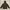 Berghaus Outerwear Kids Brown