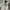 VINTAGE STUSSY CHINOS BAGGY PANST photo 5