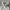 VINTAGE STUSSY CHINOS BAGGY PANST photo 6