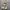 VINTAGE STUSSY CHINOS BAGGY PANST photo 1