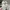 Charles and Keith Vintage Y2K Casual shoe Pria tan photo 3