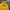 New Balance Casual Suit Pria yellow photo 2