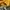 New Balance Casual Suit Pria yellow photo 5