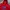 New Balance Casual Suit Pria Red