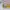 Minimalist Casual Wanita yellow photo 3