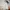 Bigarmour Alor Reversible Goose Down Jacket - Jaket Bulu Ang photo 1