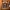 Bigarmour Alor Reversible Goose Down Jacket - Jaket Bulu Ang photo 7