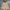 Streetwear Gorpcore Track Jacket Pria Tan