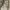 Streetwear Gorpcore Track jacket Pria tan photo 5