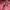 Streetwear Gorpcore Track jacket Pria tan photo 4