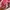 A Bathing Ape Streetwear Luxury T-shirt Pria white red photo 4