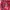 A Bathing Ape Luxury Pria Red