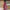 A Bathing Ape Luxury Pria red photo 1