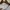 Isabel Marant Luxury Sweater Pria gray photo 5