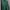 Polo Button Down shirt dark green photo 4