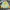 Aries Arise Streetwear Casual Sweater Pria multicolor photo 1