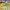 Aries Arise Streetwear Casual Sweater Pria multicolor photo 3