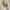 Kaos Jesus Tee Talk To The Shepherd Vintage Tshirt T-shirt photo 3