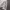 1on1 Cybersigilism White Shirt Rework Painted photo 5