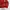 Coogi Casual Sweater Pria red photo 6