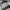 Helly Hansen Sportswear Parka Pria white gray photo 3