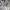 Helly Hansen Sportswear Parka Pria white gray photo 1