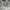 Helly Hansen Sportswear Parka Pria White Gray
