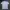 National Geographic Jersey photo 1