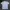 National Geographic Jersey