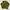 Coogi Casual Sweater Pria green photo 3