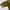 Coogi Casual Sweater Pria green photo 6