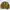 Coogi Casual Sweater Pria green photo 1