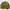 Coogi Casual Sweater Pria Green