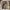 Timberland Casual Boots Pria brown photo 5