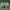 Adidas Campus X miffy fansack photo 2