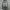 Super baggy jeans drak grey wash  photo 1