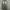 Super baggy jeans drak grey wash  photo 2