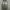Super Baggy Jeans Drak Grey Wash 