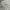 Baggy jeans carpenter double knee camo fit shinne photo 4